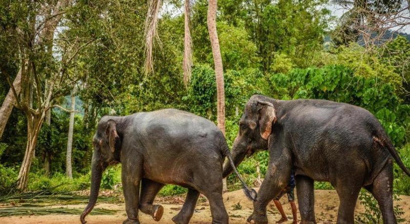 Maryoo Samui Hotel Παραλία Σαγουένγκ Εξωτερικό φωτογραφία